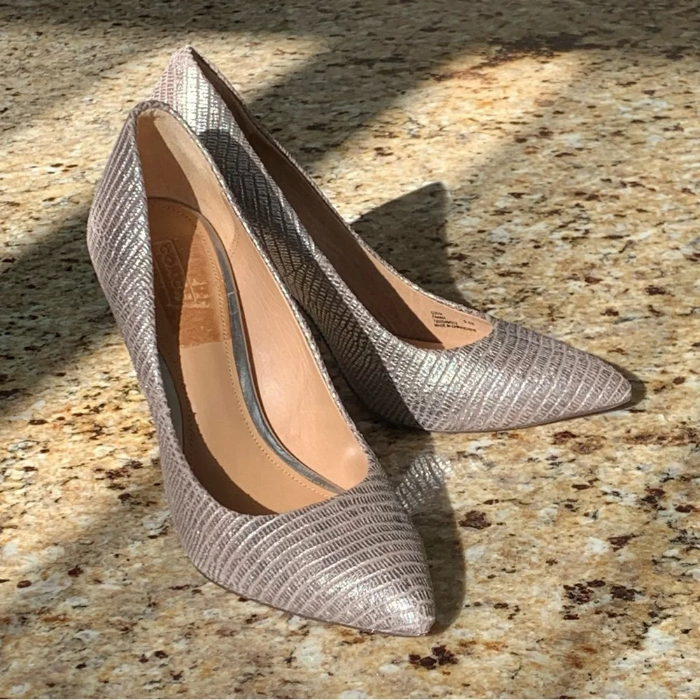Coach Shimmery Silver Textured Pointed-Toe Pumps